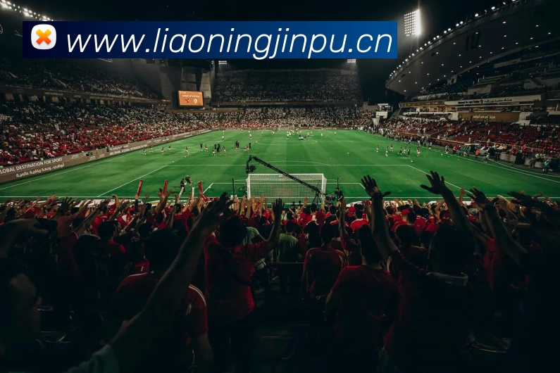 世界杯中国官网APP 体育赛事宣传图